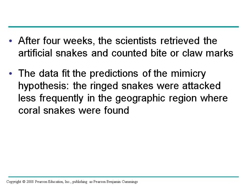 After four weeks, the scientists retrieved the artificial snakes and counted bite or claw